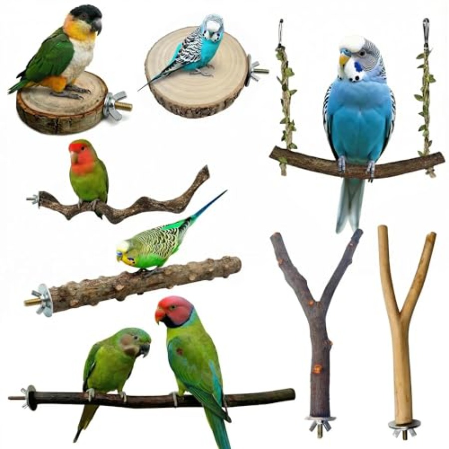 8 Stück Vogelsitzstangen aus N – Health & Wellness Unlimited Bewertung und Preis